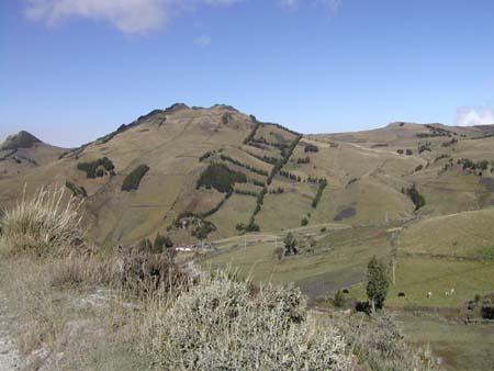 Chimborazo02