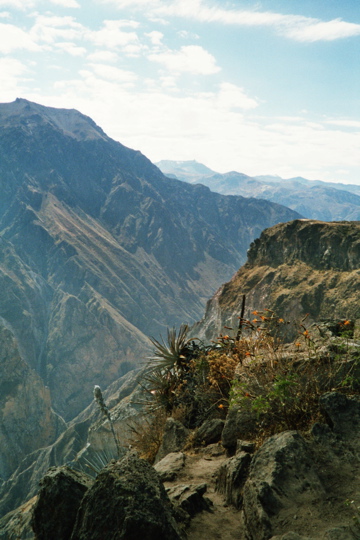 091 Colca Canyon